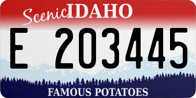 ID license plate E203445