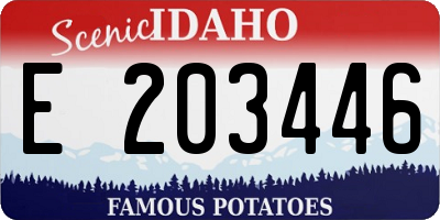 ID license plate E203446