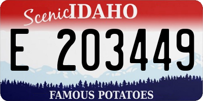 ID license plate E203449