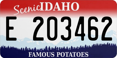 ID license plate E203462