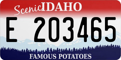ID license plate E203465