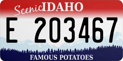 ID license plate E203467