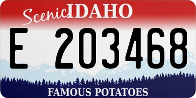 ID license plate E203468
