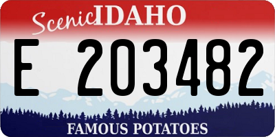 ID license plate E203482