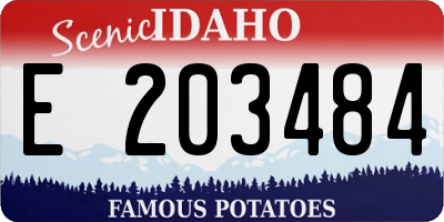 ID license plate E203484