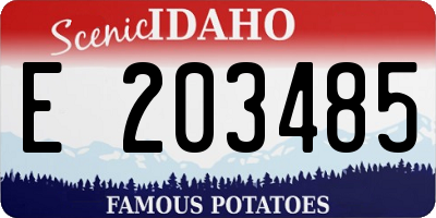 ID license plate E203485