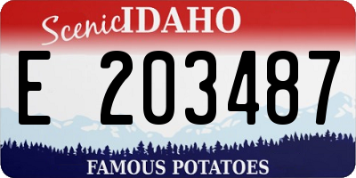 ID license plate E203487