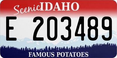 ID license plate E203489