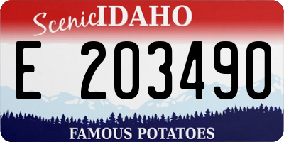 ID license plate E203490