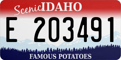 ID license plate E203491