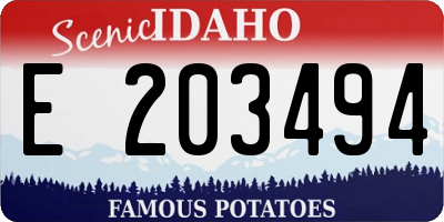 ID license plate E203494