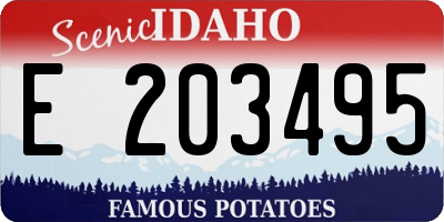ID license plate E203495