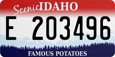 ID license plate E203496
