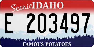 ID license plate E203497