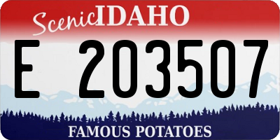 ID license plate E203507