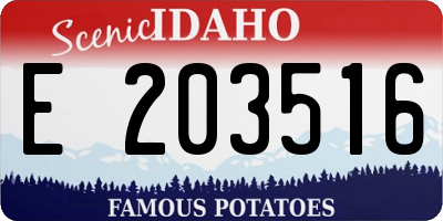 ID license plate E203516