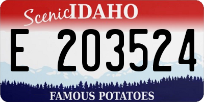 ID license plate E203524