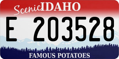 ID license plate E203528