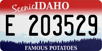 ID license plate E203529