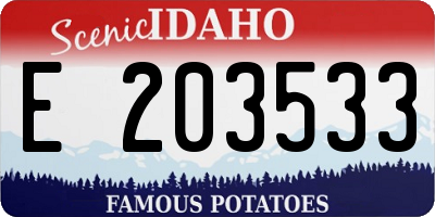 ID license plate E203533