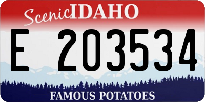 ID license plate E203534