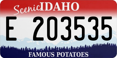 ID license plate E203535