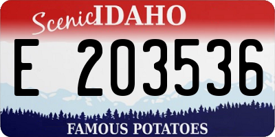 ID license plate E203536