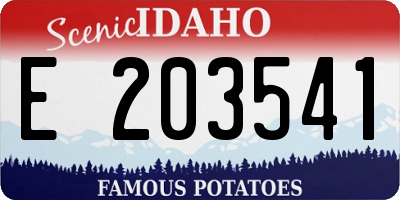 ID license plate E203541