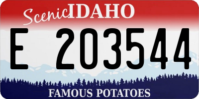 ID license plate E203544