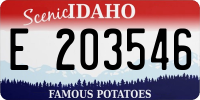 ID license plate E203546