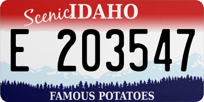 ID license plate E203547