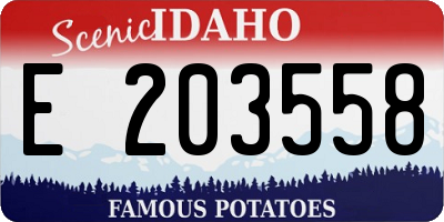 ID license plate E203558