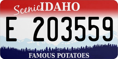 ID license plate E203559