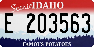 ID license plate E203563