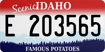 ID license plate E203565