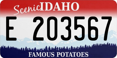 ID license plate E203567