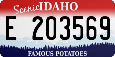 ID license plate E203569