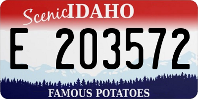 ID license plate E203572