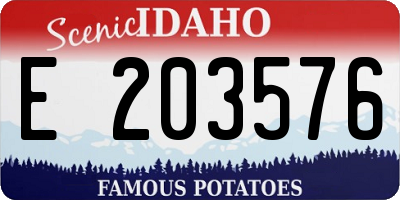 ID license plate E203576