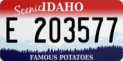 ID license plate E203577