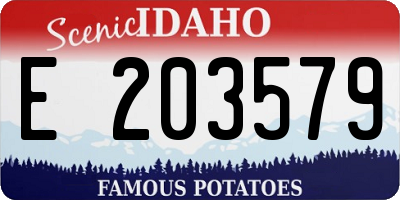 ID license plate E203579