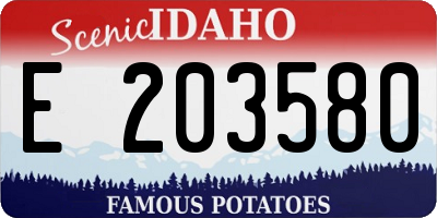 ID license plate E203580