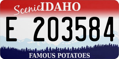 ID license plate E203584