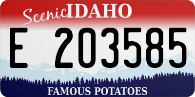 ID license plate E203585
