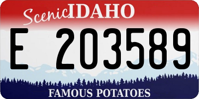 ID license plate E203589