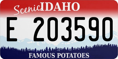 ID license plate E203590