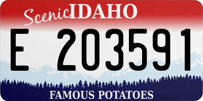 ID license plate E203591
