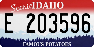 ID license plate E203596