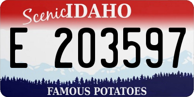 ID license plate E203597
