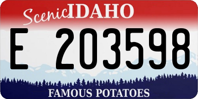 ID license plate E203598